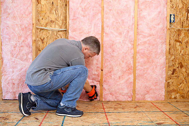 Eco-Friendly or Green Insulation Solutions in Broadlands, VA